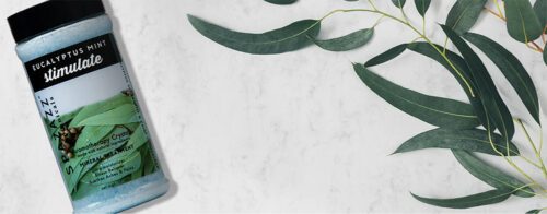 Spazazz Duftstoff Eucalyptus Mint